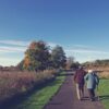 old people walking image