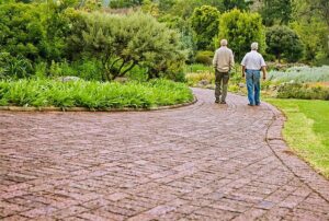 old people exercising image