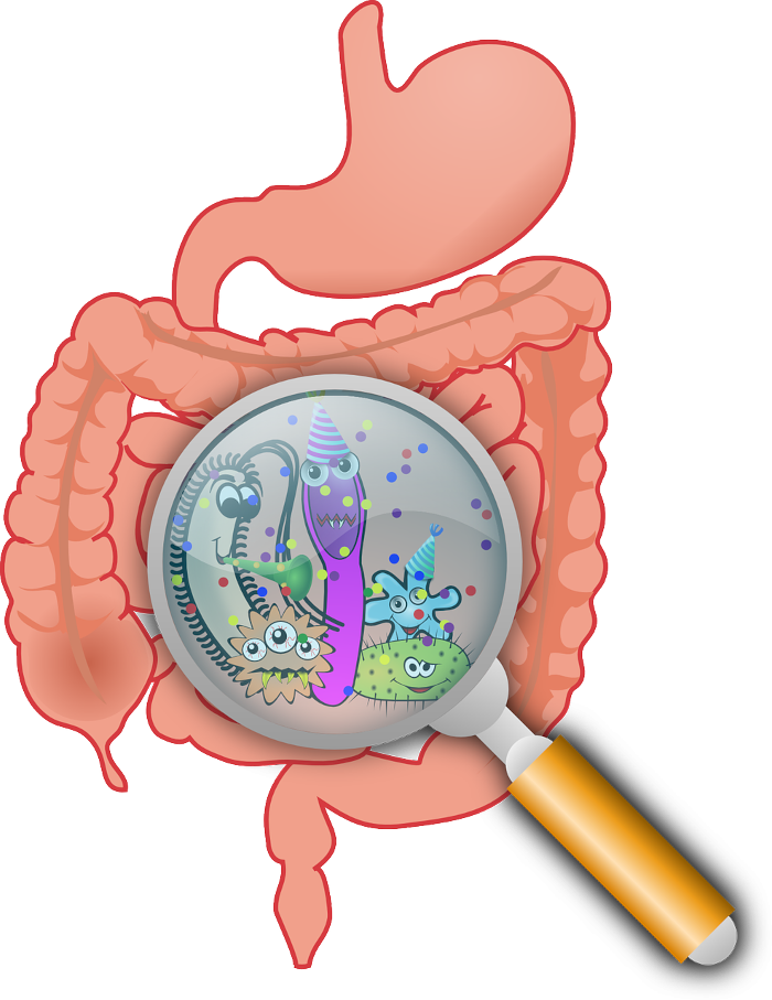 irritable bowel image