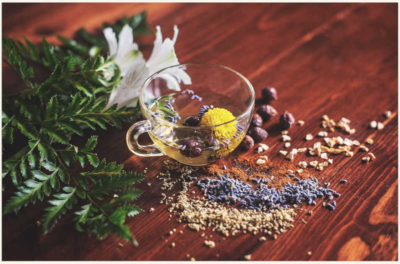 ayurveda benefits image