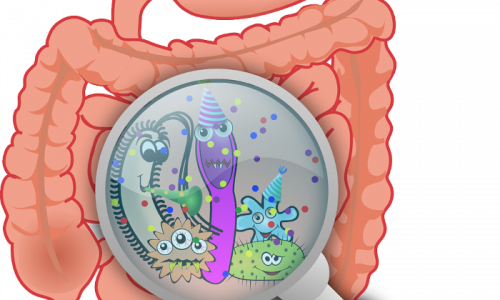 irritable bowel image