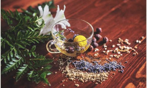 ayurveda benefits image